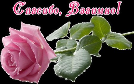 Спасибо взаимно картинки