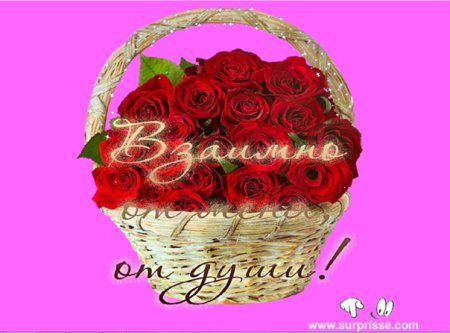 Гиф и вам того же