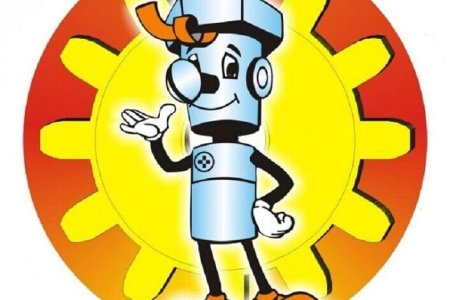 Эмблема Самоделкины