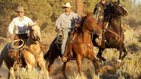 Ковбои вилд Вест