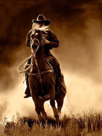 Вестерн всадник