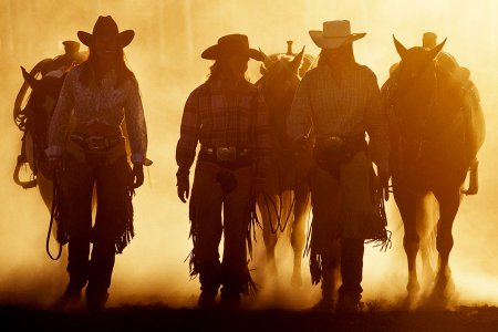 Ковбои родео дикий Запад