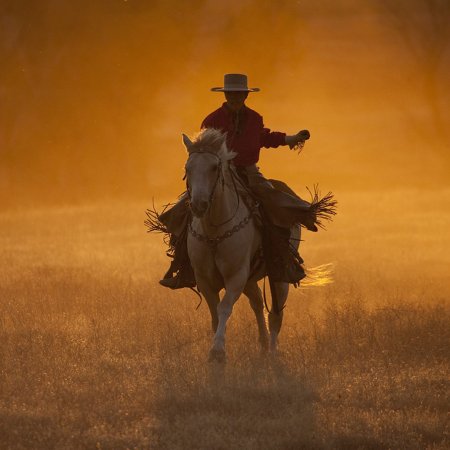 Штат Техас дикий Запад