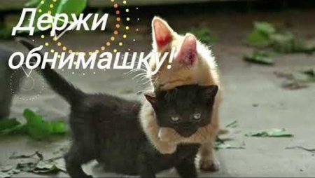 Позитивчик для друзей веселое