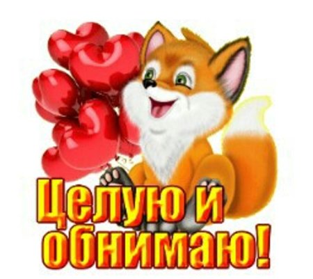 Целую обнимаю