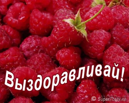 Открытка выздоравливай