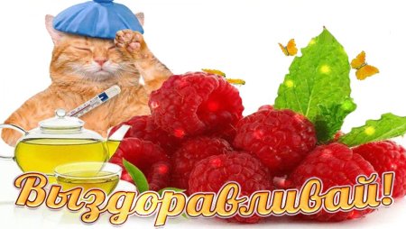 Выздоравливайте скорее