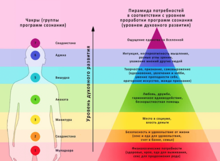 Энергетические уровни человека чакры