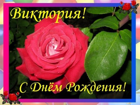 С днём рождения Виктория