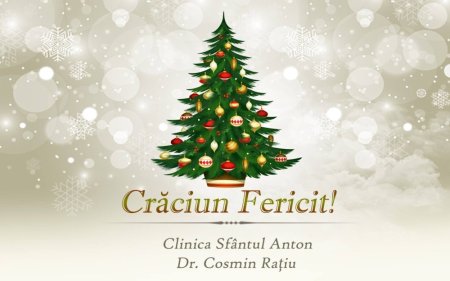 Crăciun fericit открытки Chișinău