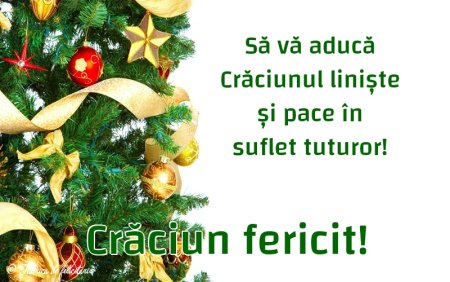 Крэчун феричит Феличитэрь