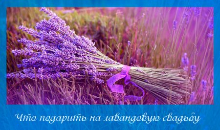 Лавандовая свадьба поздравление