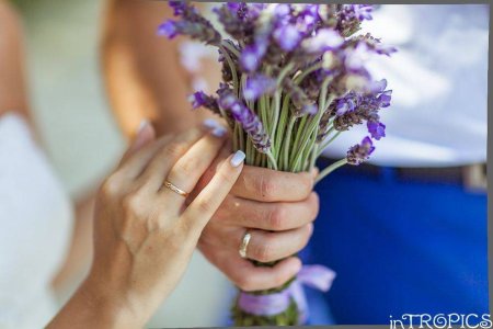 Лавандовая свадьба