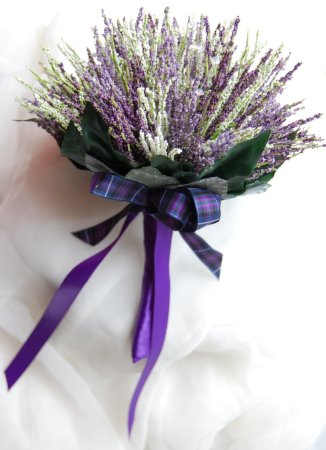 Гипсофила лимониум