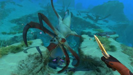 Хелицерат Subnautica