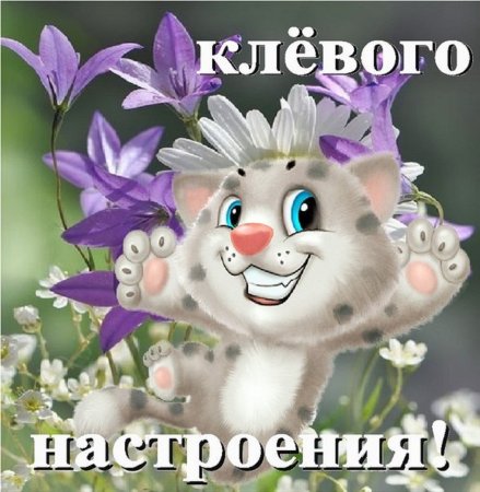Классного настроения