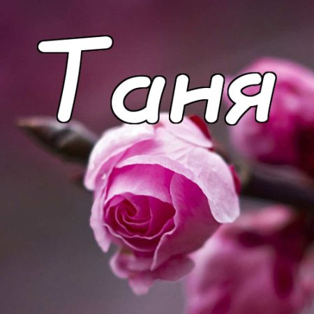 Таня надпись