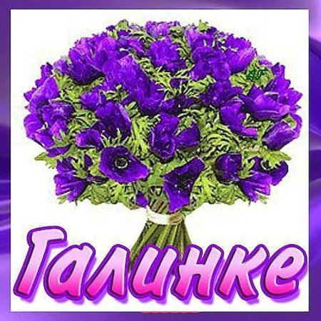 Красивые цветы для Галины