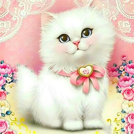 Милый котик открытка