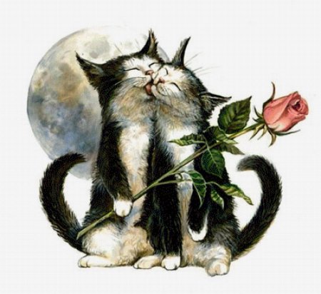 Коты рисунки