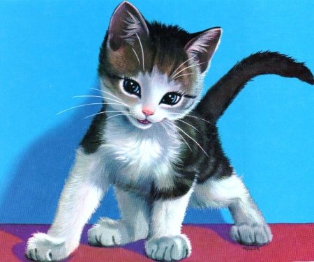Открытки с котятами