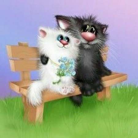 Влюбленный кот