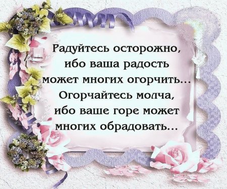 Радость жизни цитаты