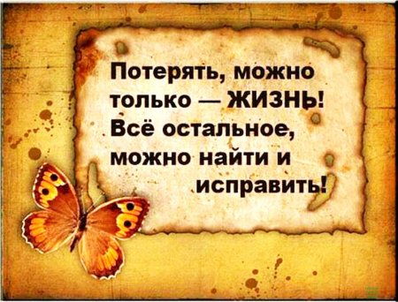 Умные высказывания