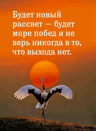 Красивые цитаты