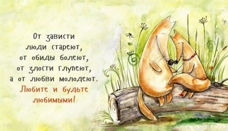 Умные мысли и пословицы с юмором