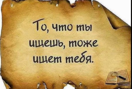 Умные фразы
