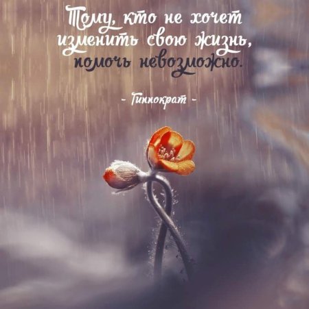 Красивые изречения о жизни