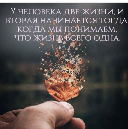 Мудрые мысли
