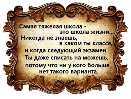 Умные мысли и высказывания