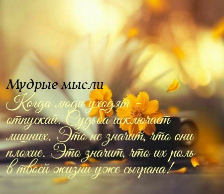 Высказывания пожелания на день