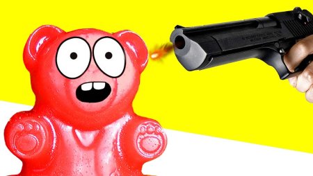 Медведь Валера Познаватель