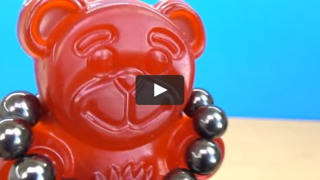 ЖЕЛЕЙНЫЙ медведь Варела