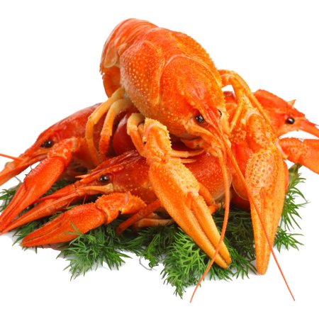 Морепродукты на прозрачном фоне