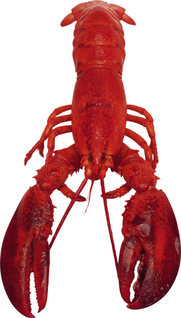 Омар и лобстер