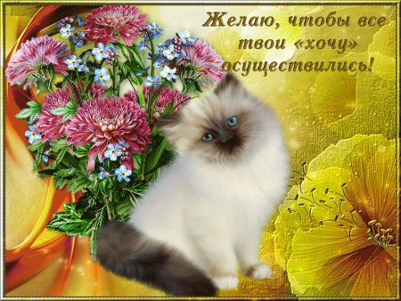 Пожелания всего самого хорошего и доброго