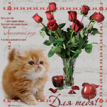 Красивые открытки для тебя
