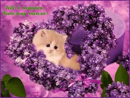 Очень красивые открыточки