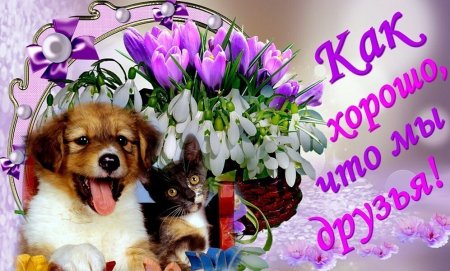 Открытка "другу!"