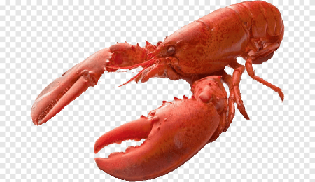 Лобстер на белом фоне