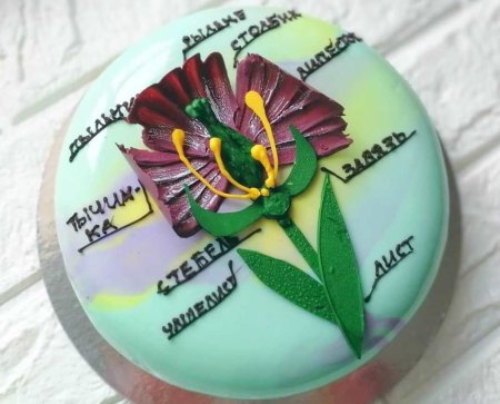 Торт для учителя биологии