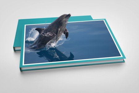 Объемная фотография в фотошопе