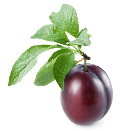 Слива фрукт