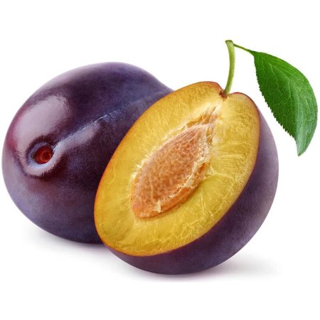 Слива фрукт