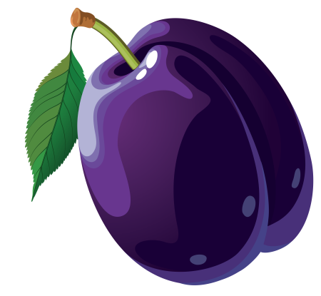 Слива фрукт