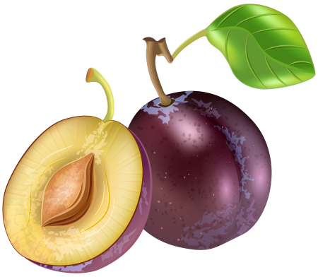 Слива фрукт